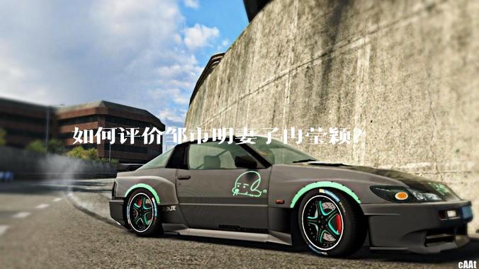 如何评价邹市明妻子冉莹颖？