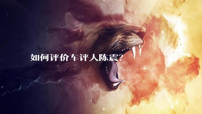 如何评价车评人陈震？