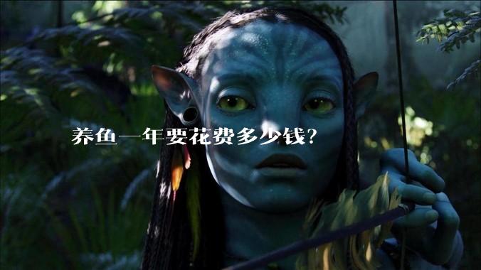 养鱼一年要花费多少钱？