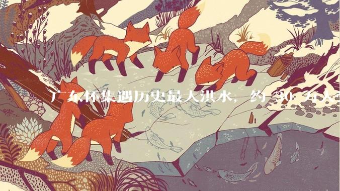 广东怀集遇历史最大洪水，约 30 万人受灾，积水最深处达 3 米，目前当地情况如何？