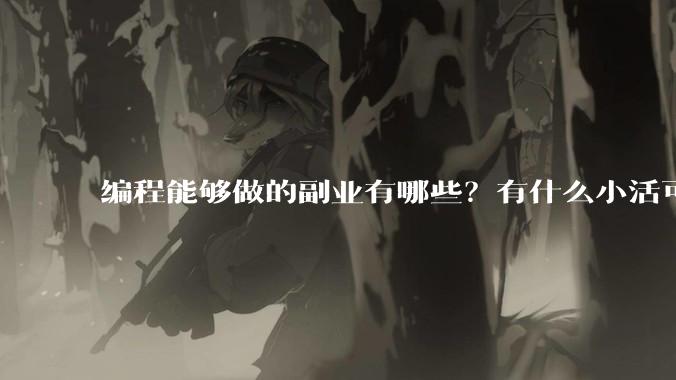 编程能够做的副业有哪些？有什么小活可以做？